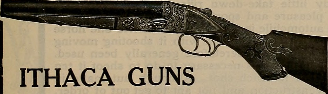 Ithaca Gun Co ad
